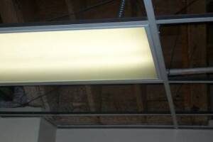 Repair Drop Ceiling Whole Office Replaced - Repair