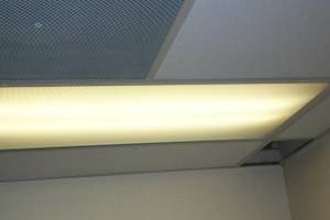 Repair Drop Ceiling Whole Office Replaced - Repair