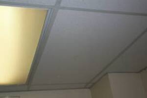 Repair Drop Ceiling Whole Office Replaced - Repair