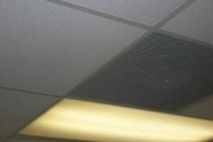 Repair Drop Ceiling Whole Office Replaced - Repair