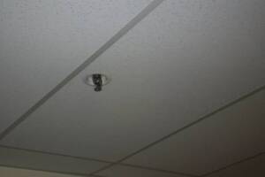 Repair Drop Ceiling Whole Office Replaced - Repair