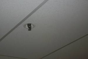 Repair Drop Ceiling Whole Office Replaced - Repair