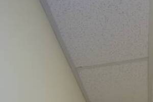 Repair Drop Ceiling Whole Office Replaced - Repair