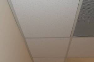 Repair Drop Ceiling Whole Office Replaced - Repair