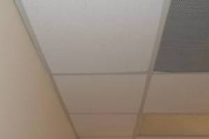 Repair Drop Ceiling Whole Office Replaced - Repair