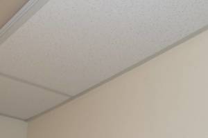 Repair Drop Ceiling Whole Office Replaced - Repair