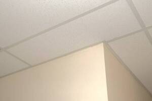 Repair Drop Ceiling Whole Office Replaced - Repair