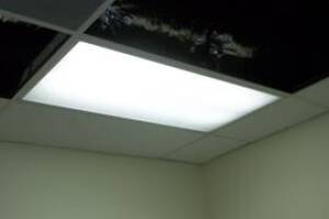 Repair Drop Ceiling Whole Office Replaced - Repair