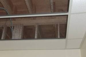Repair Drop Ceiling Whole Office Replaced - Repair
