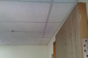 Repair Drop Ceiling Whole Office Replaced - Repair