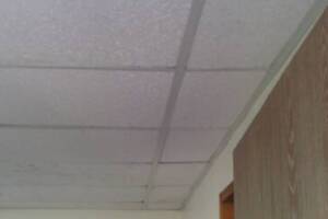 Repair Drop Ceiling Whole Office Replaced - Repair