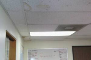 Repair Drop Ceiling Whole Office Replaced - Repair