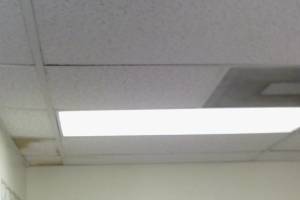 Repair Drop Ceiling Whole Office Replaced - Repair