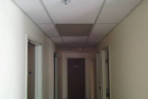 Repair Drop Ceiling Whole Office Replaced - Repair