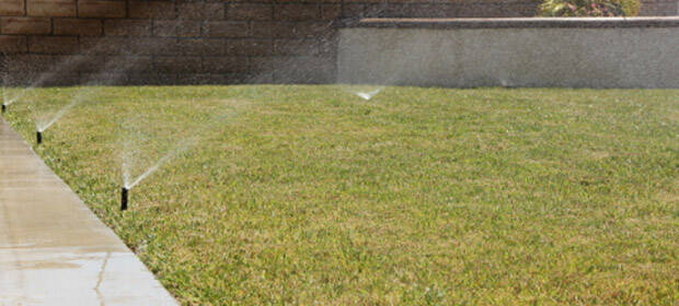 Sprinklers watering the lawn