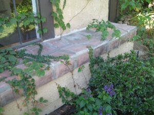 Stone and stucco ledge in front of window with vegetation growing in front