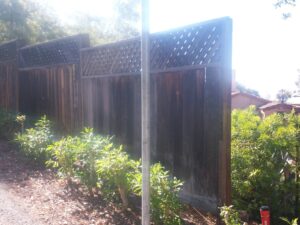 Fence, before extension added