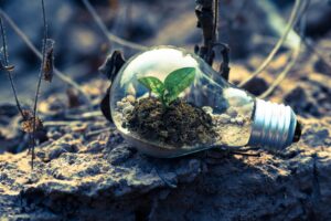 Lightbulb in dirt with plant growing inside of it