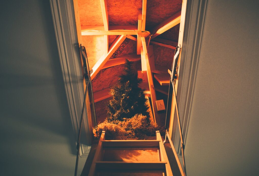 Christmas tree at the top of the attic ladder