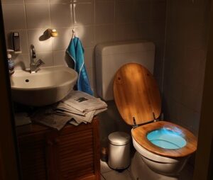 Loo, Wc, Toilet, Sanitaryblock
