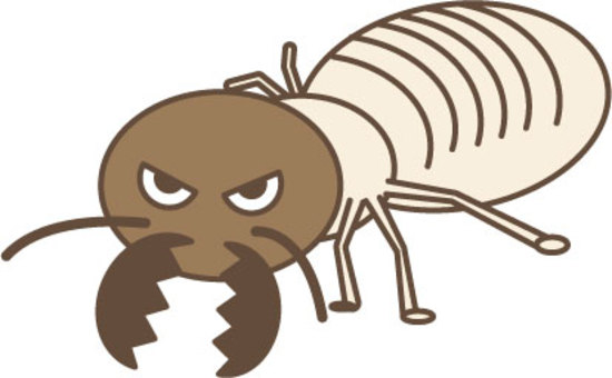 Cartoon Termite
