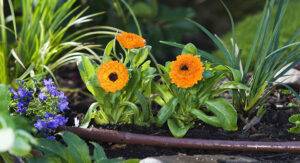 Summer 2025 Handyman Services New Customer Backyard Improvement Discount!