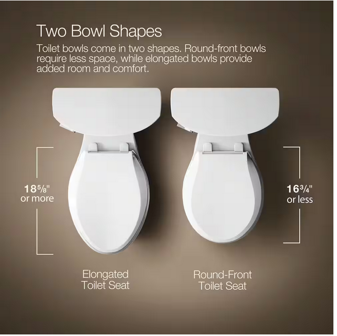 Toilet Bowl Height