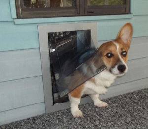 The Best Way to Install a Dog Door Through a Wall