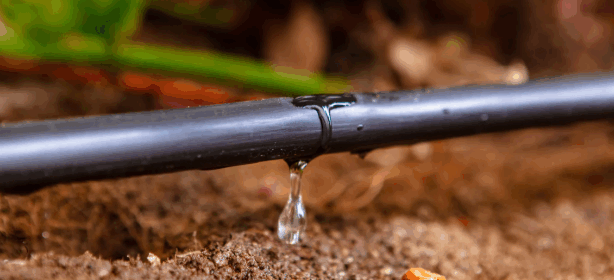image of drip irrigation