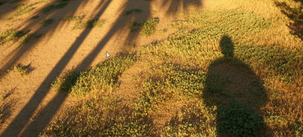 A mostly dead front lawn.