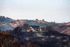 How Much Value Does Fire Abatement Add To Your Home?